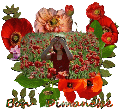 Bon Dimanche gif animé