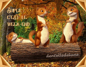 images gifs animés bon week-end