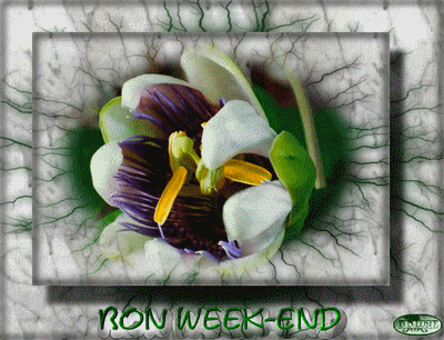 image bon week-end gif animé - nature-fleurs-papillons