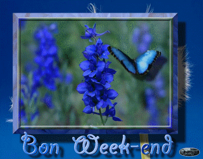 image bon week-end gif animé - nature-fleurs-papillons