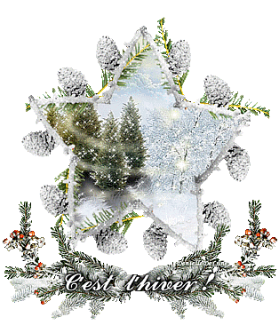 c'est l'hiver ! gif scintillant - hiver