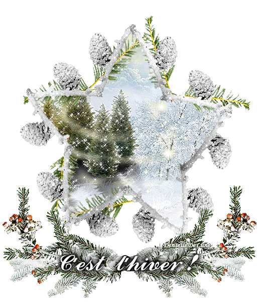 c'est l'hiver ! gif scintillant - hiver