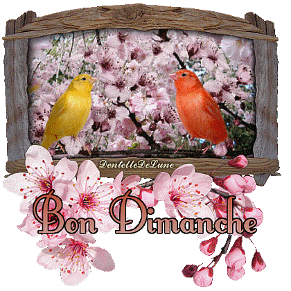 bon-dimanche-gif-animé-oiseaux-printemps