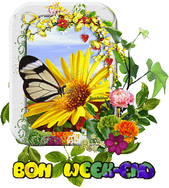 bon-week-end-gif-animé-fleurs-papillon