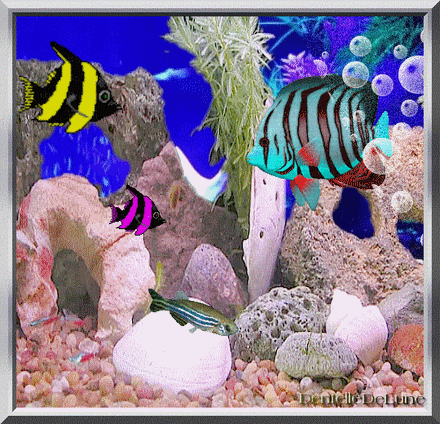 animation-aquarium-gif-animé