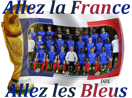 allez-la-france-allez-les-bleus-gif-animé