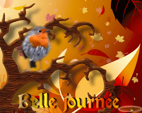 gif-animé-belle-journée-d'automne-avec-oiseau-rouge-gorge