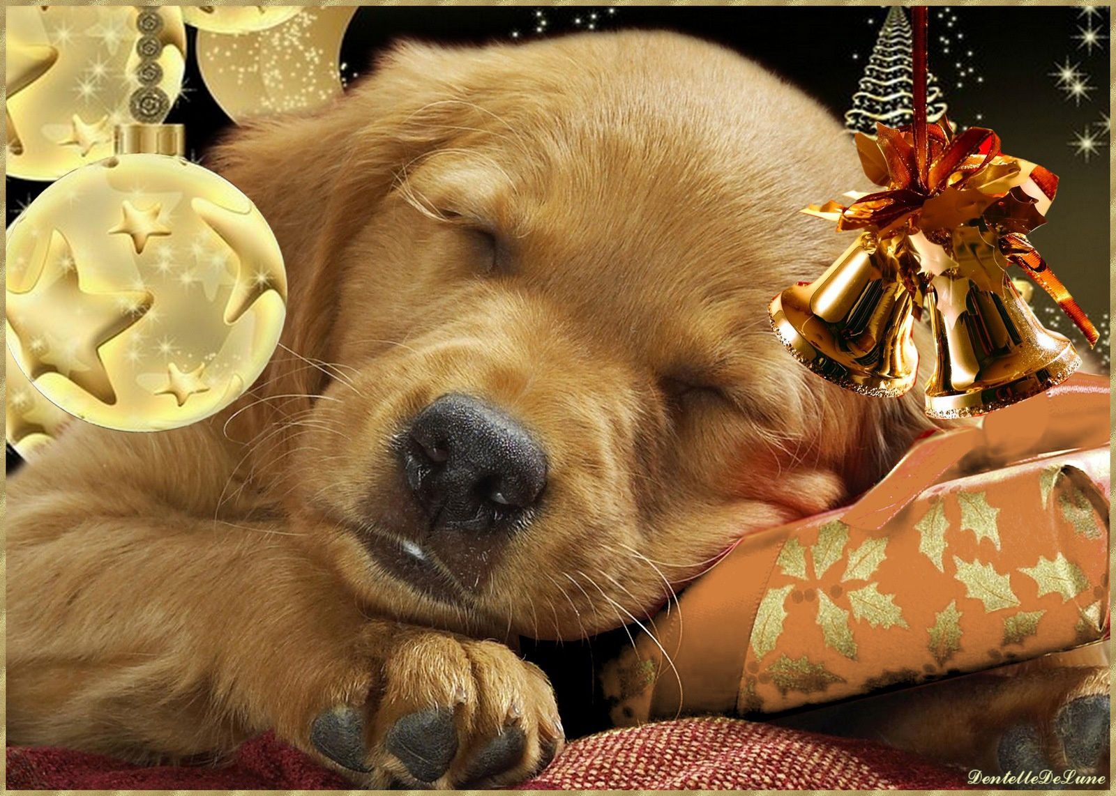 Fond Dcran Nol Chiot Qui Dort Gif Anim Joyeux Nol Avec Chiot