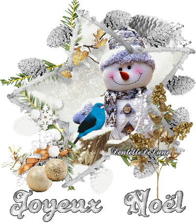 gif-noël-étoile-lumineuse-bonhomme-de-neige-oiseau-bleu