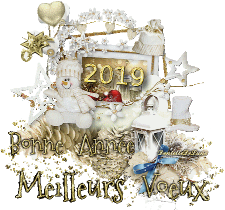 gif-bonne-année-meilleurs-vœux-2019-27