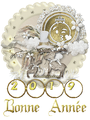 gif-bonne-année-meilleurs-vœux-2019-32