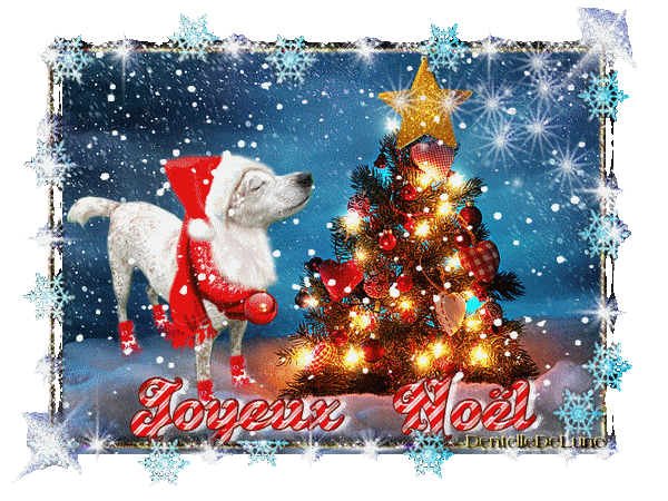 gif-joyeux-noël-avec-chien-de-noël-neige-sapin-illuminé-2019-8