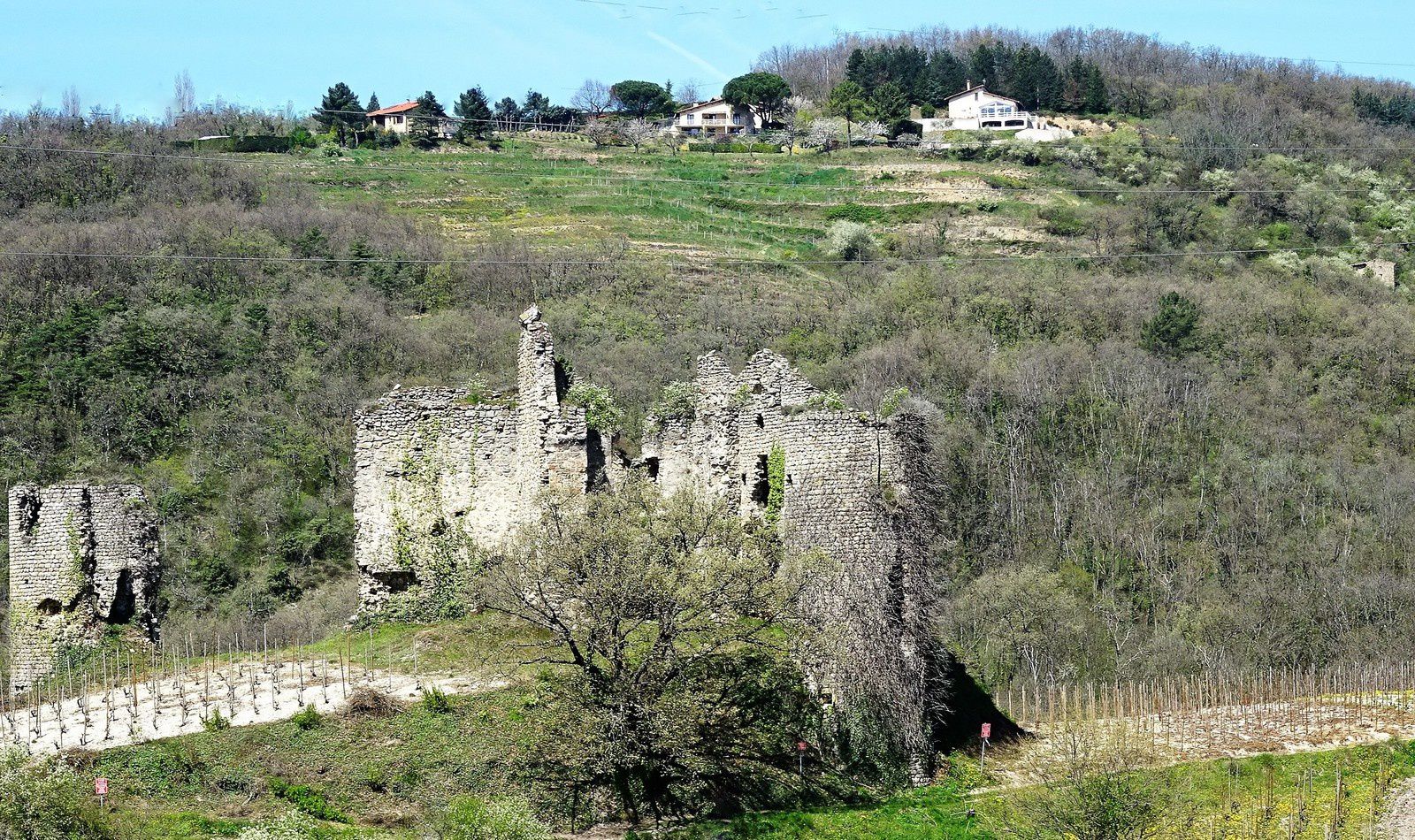 Les ruines d'un château.