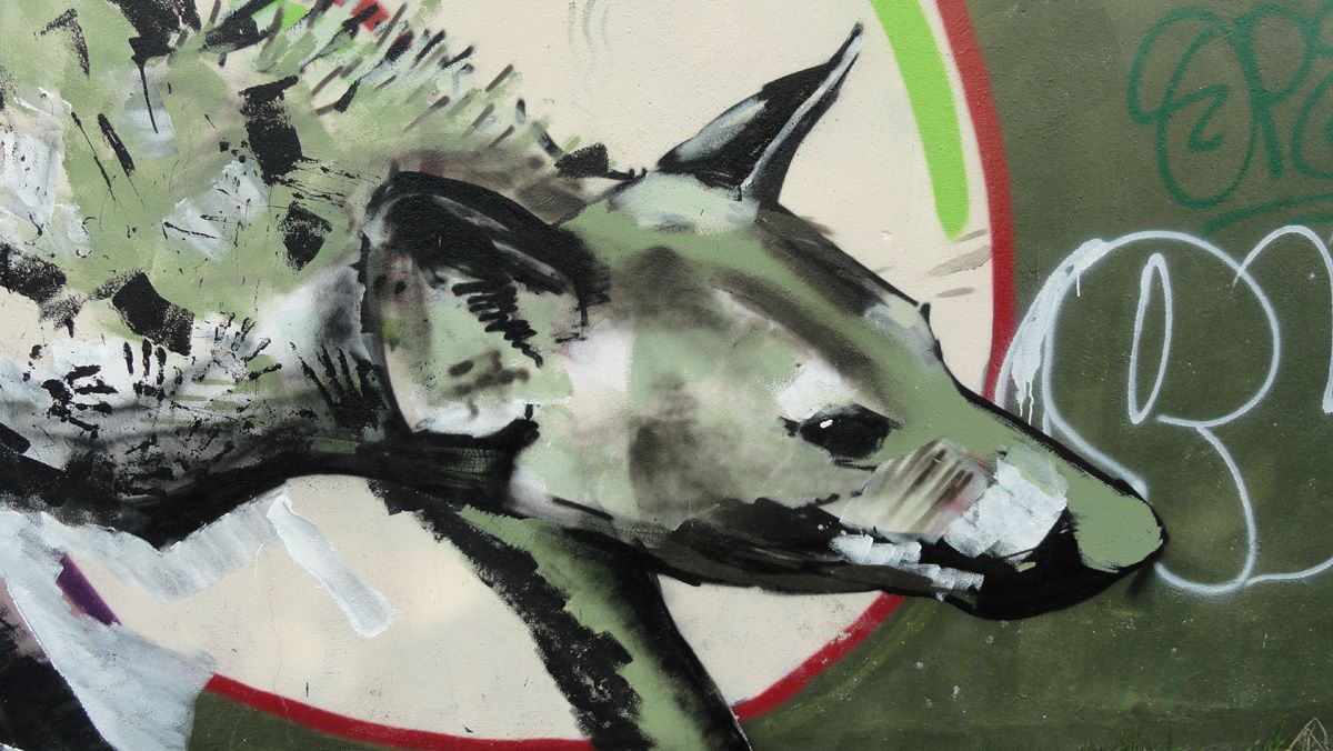 Street Art : Graffitis & Fresques Murales 94400 Vitry sur seine