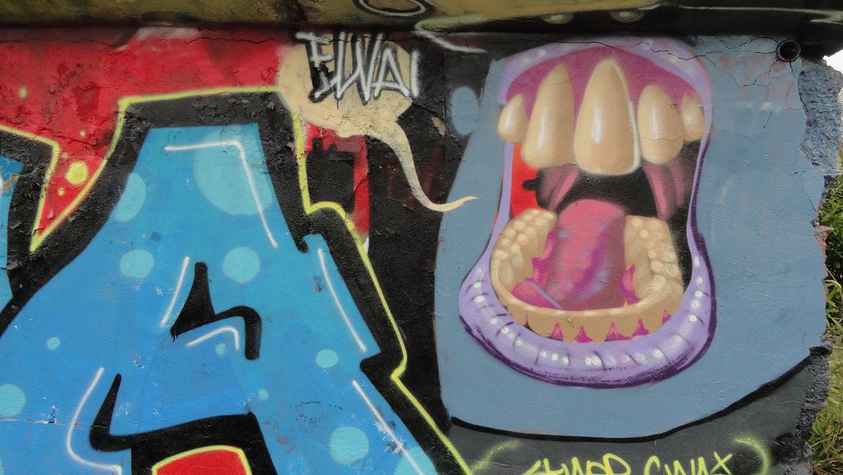 Street Art : Graffitis & Fresques Murales 94400 Vitry sur seine