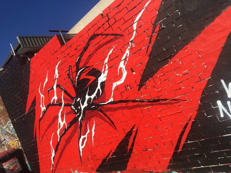 Street Art : Graffitis & Fresques Murales Sydney (Australie)