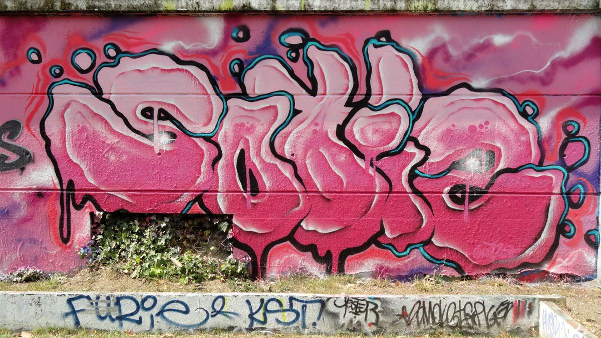 Street Art : Graffitis & Fresques Murales 31446 Ramonville