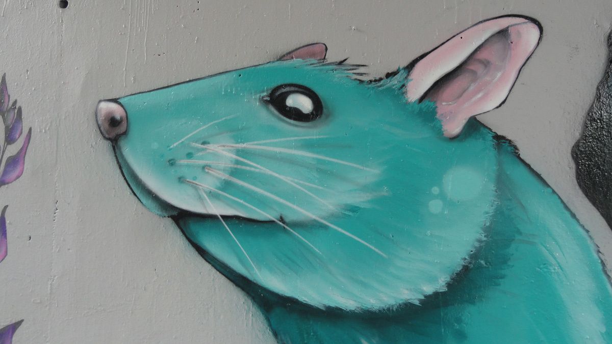 Street Art : Graffitis & Fresques Murales 86194 Poitiers