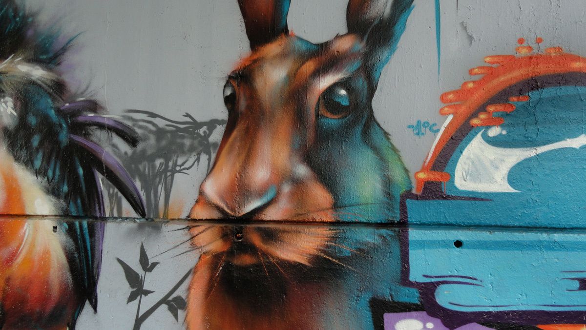 Street Art : Graffitis & Fresques Murales 86194 Poitiers