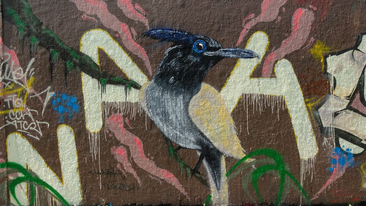 Street Art : Graffitis & Fresques Murales 94200 Ivry sur seine