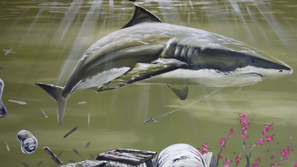 Album - Graffitis Luxembourg Tom 003