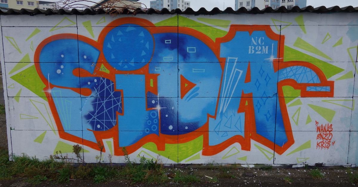 Street Art : Graffitis & Fresques Murales 62193 Calais