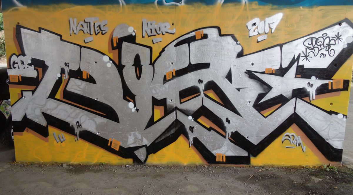 Street Art : Graffitis & Fresques Murales 79191 Niort