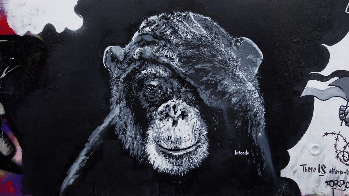 Album - Graffitis Paris Tom 068