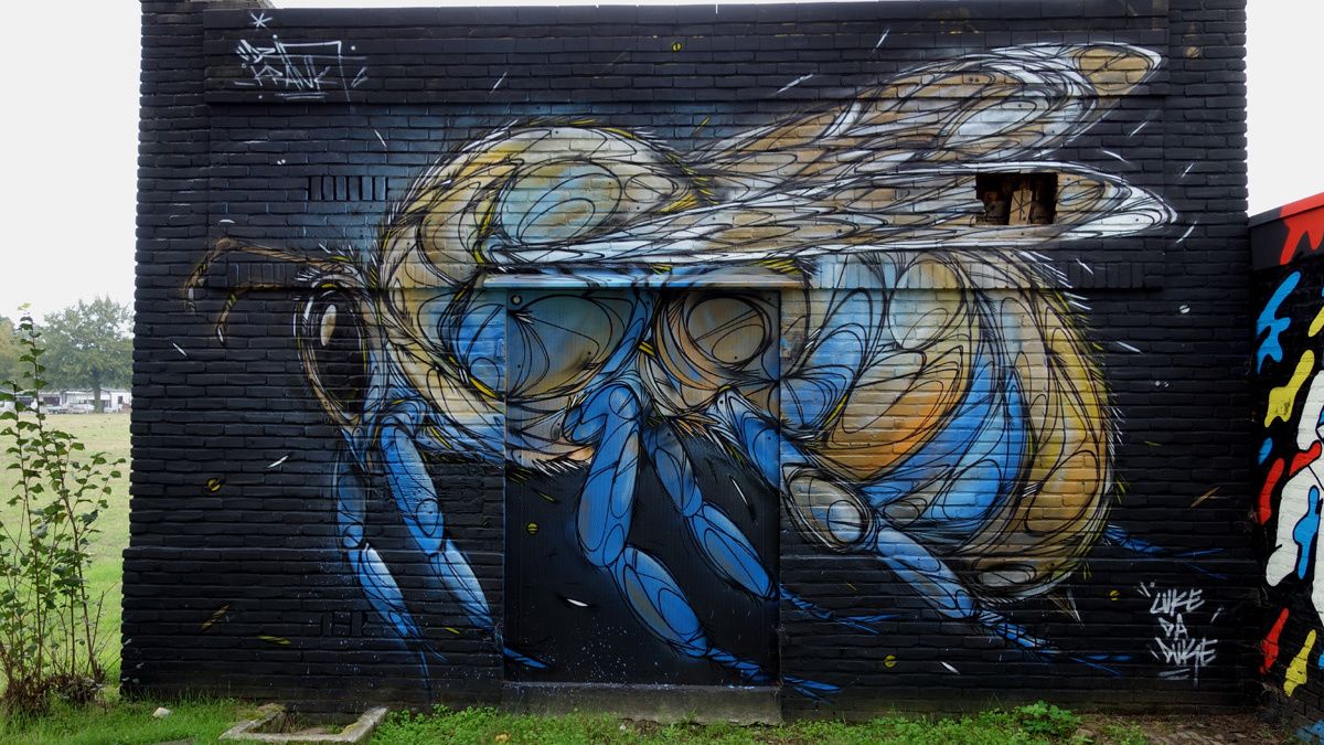 Album - Graffitis Pays Bas Tom 003