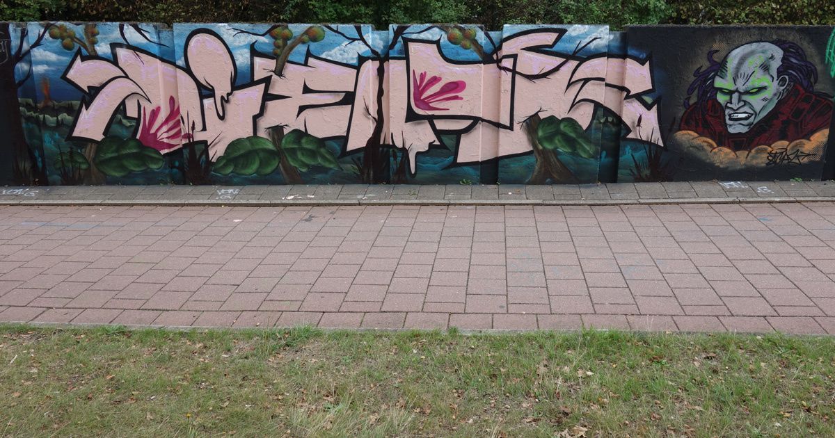 Album - Graffitis Pays Bas Tom 003