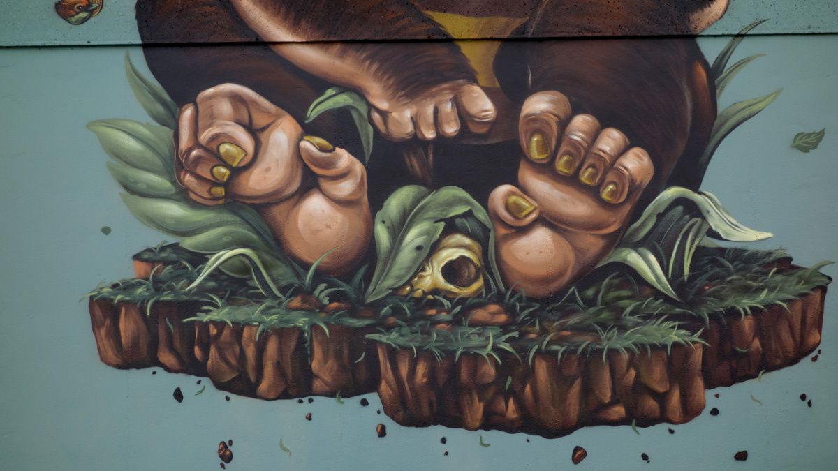 Street Art : Graffitis &amp; Fresques Murales Shake Well Festival 33318 Pessac