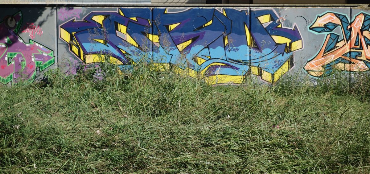 Street Art : Graffitis & Fresques Murales 08290 Cerdanyola del Valles (Catalunya)