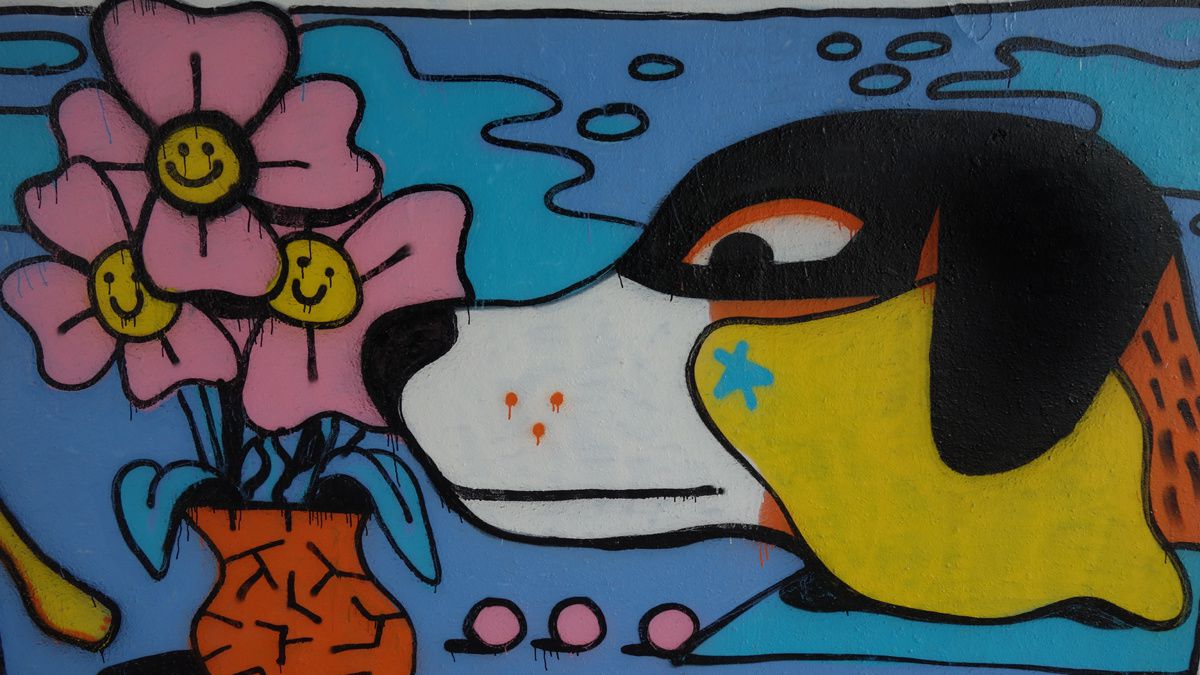 Street Art : Graffitis & Fresques Murales 93000 Bobigny