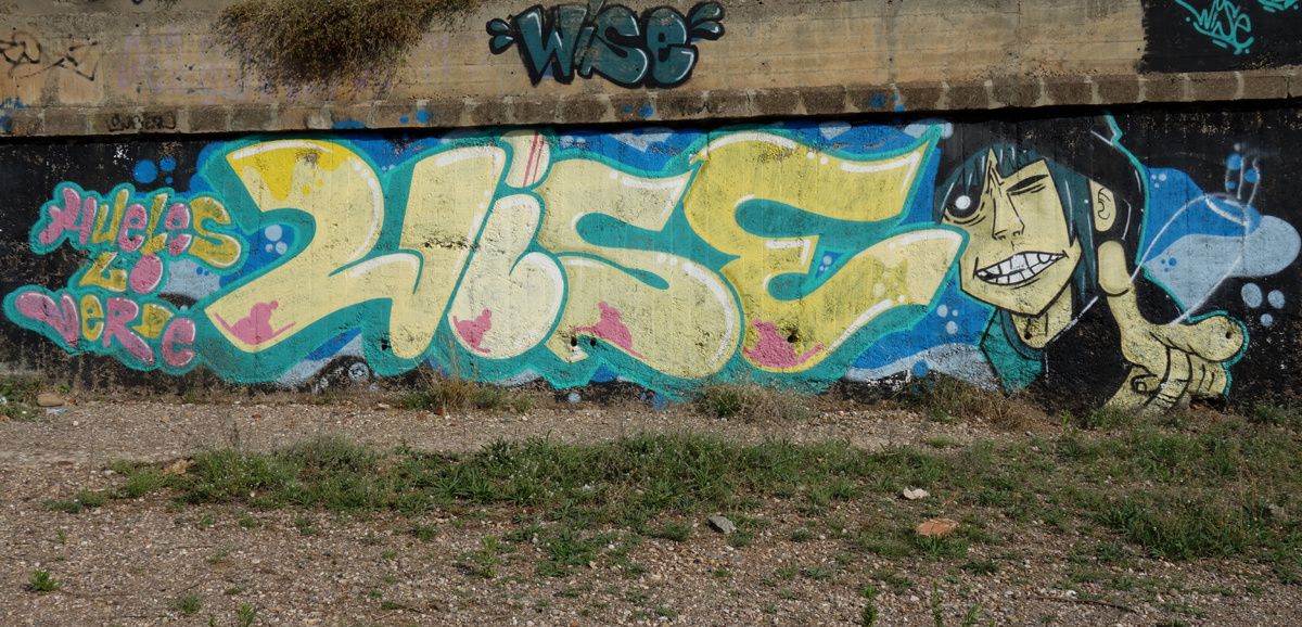 Street Art : Graffitis & Fresques Murales 08220 Terrassa (Catalunya)