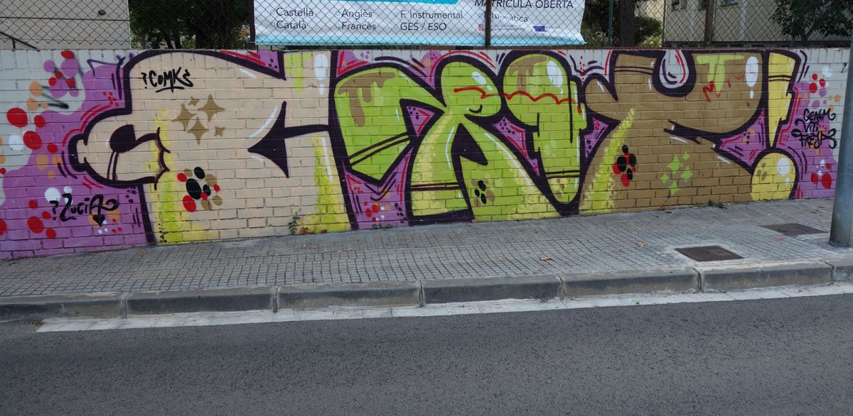 Street Art : Graffitis & Fresques Murales 08220 Terrassa (Catalunya)