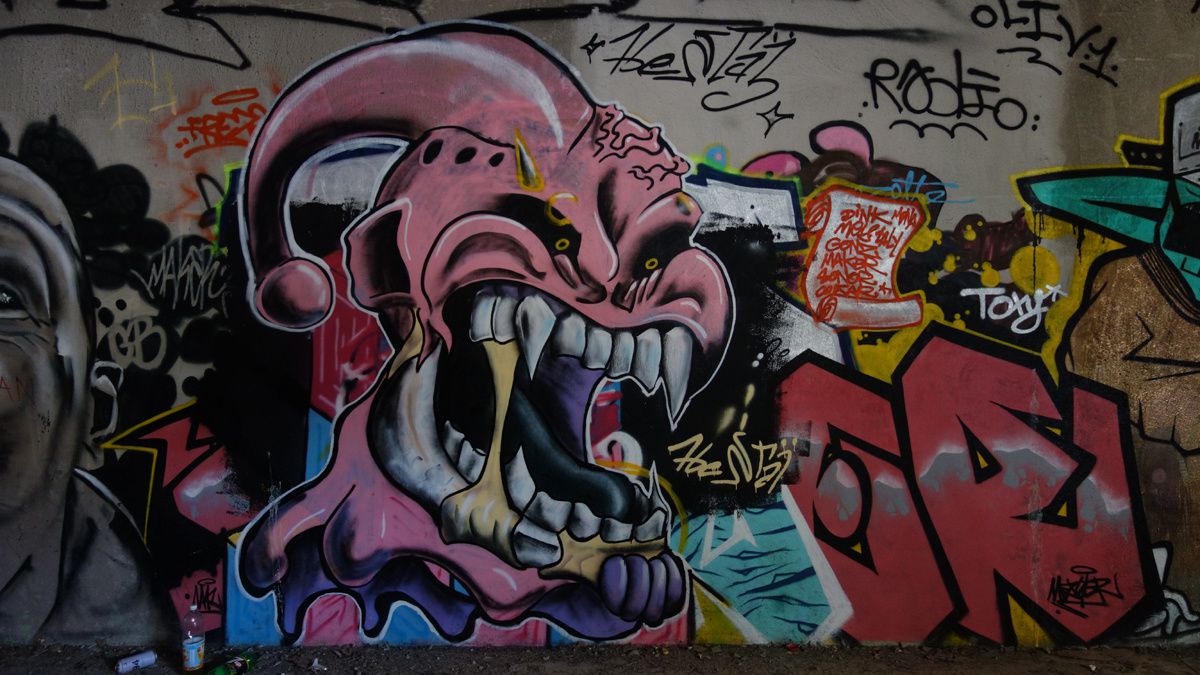 Street Art : Graffitis & Fresques Murale 75013 Paris