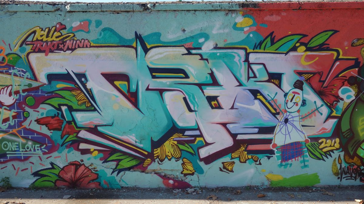 Street Art : Graffitis & Fresques Murales 33119 Cenon