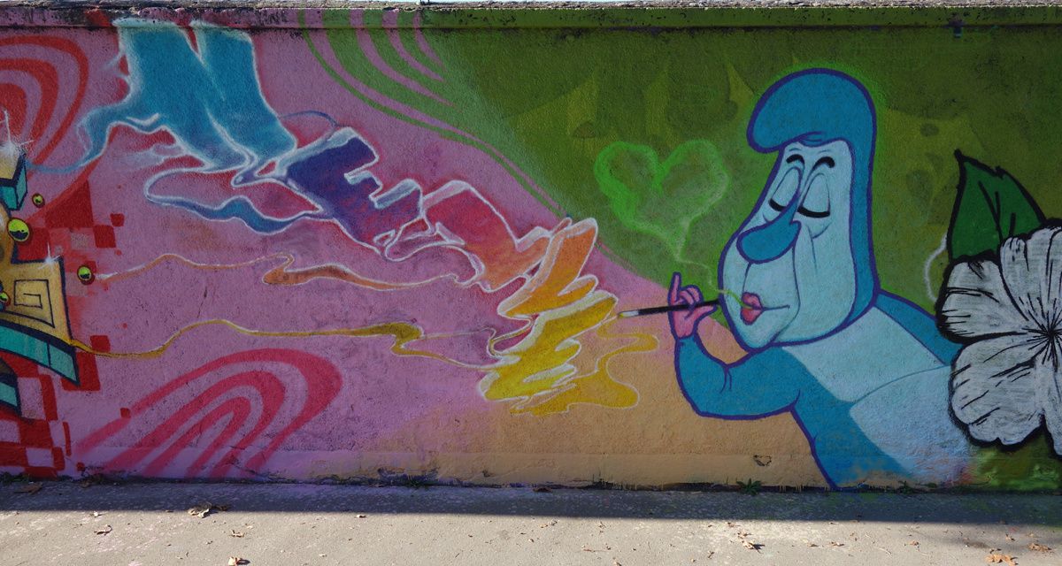 Street Art : Graffitis &amp; Fresques Murales 33119 Cenon