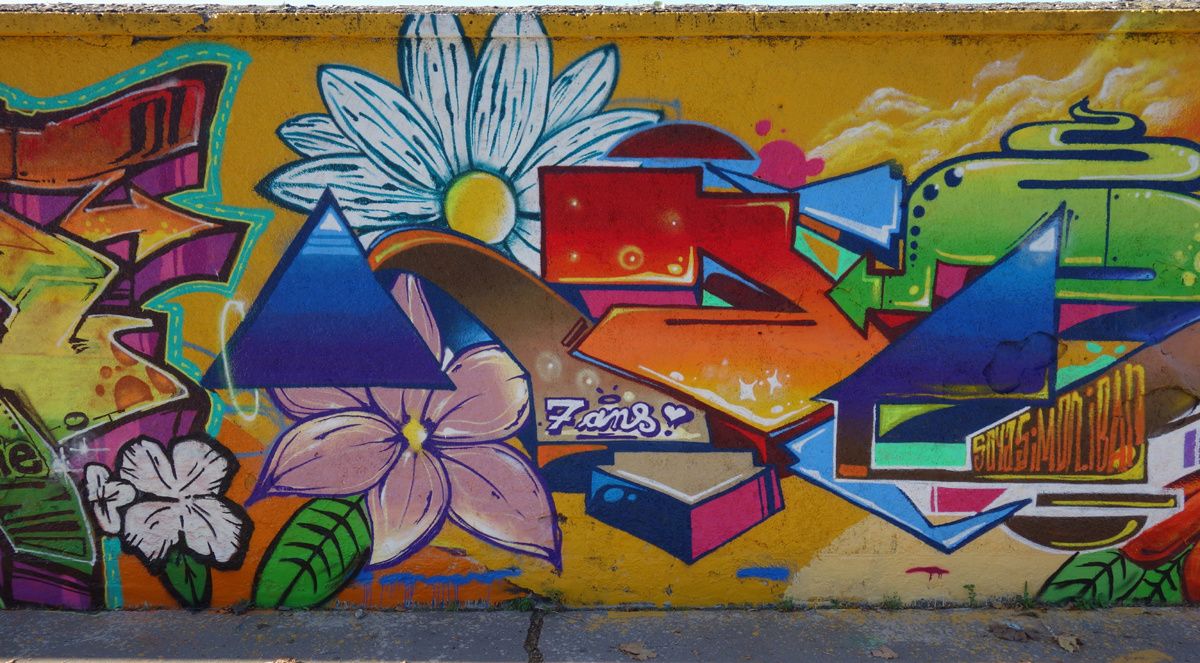 Street Art : Graffitis & Fresques Murales 33119 Cenon