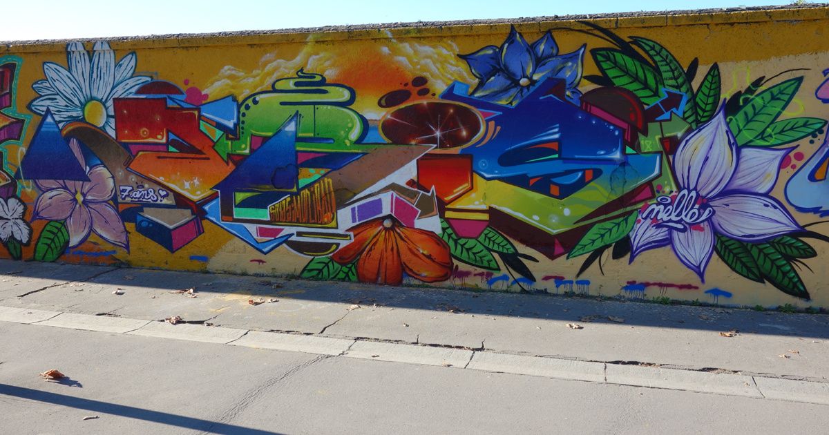 Street Art : Graffitis & Fresques Murales 33119 Cenon