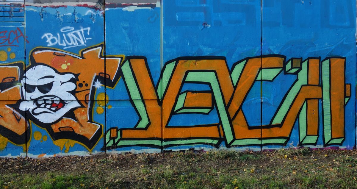 Street Art : Graffitis & Fresques Murales 94400 Vitry sur seine