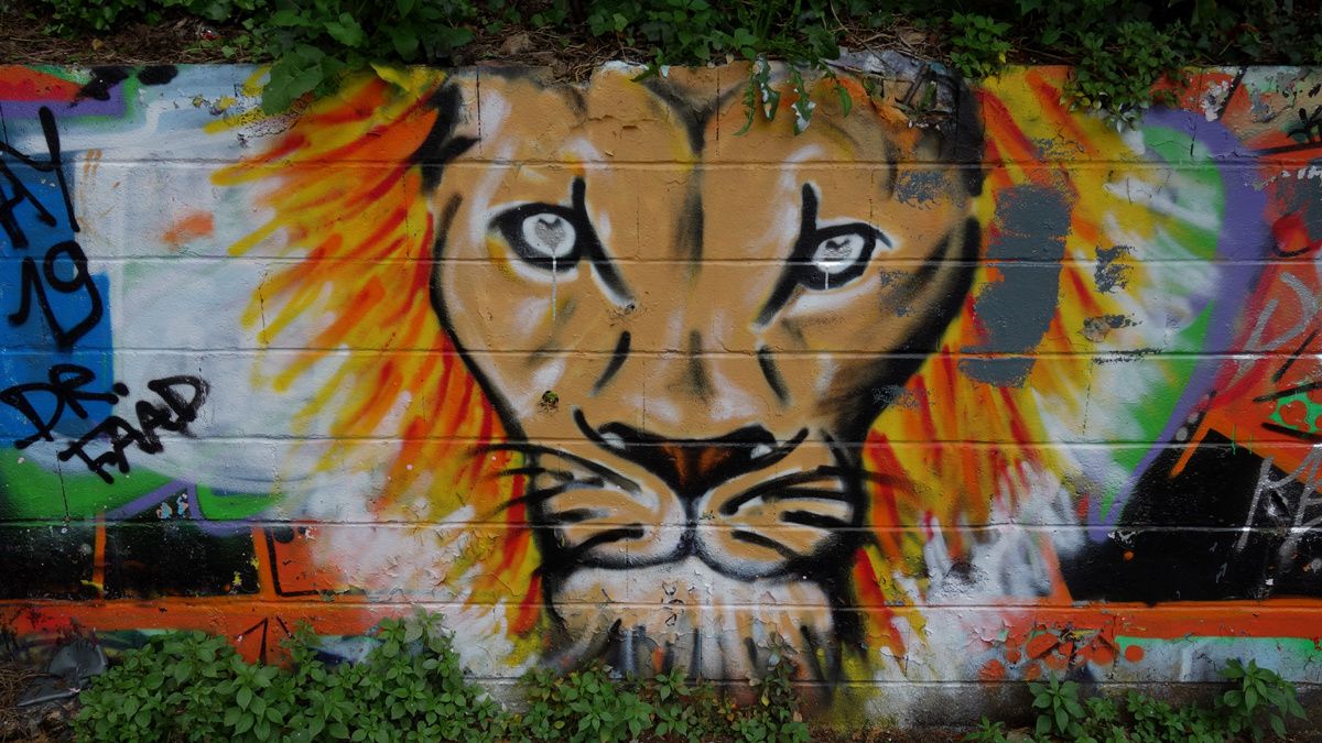 Street Art : Graffitis & Fresques Murales 94200 Ivry sur seine