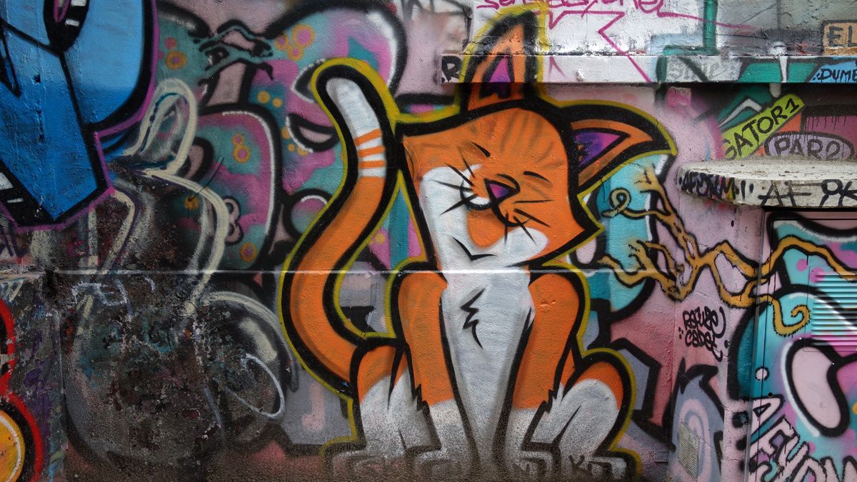 Street Art : Graffitis & Fresques Murales 91521 Ris Orangis