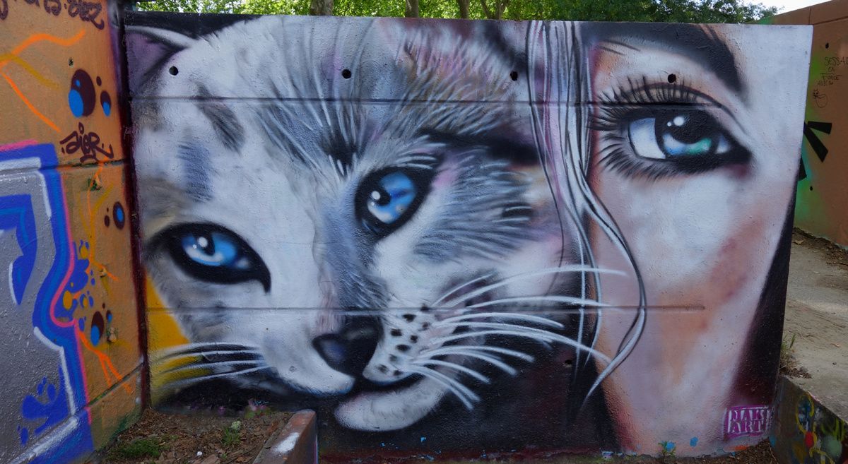 Street Art : Graffitis & Fresques Murales 31446 Ramonville saint Agne
