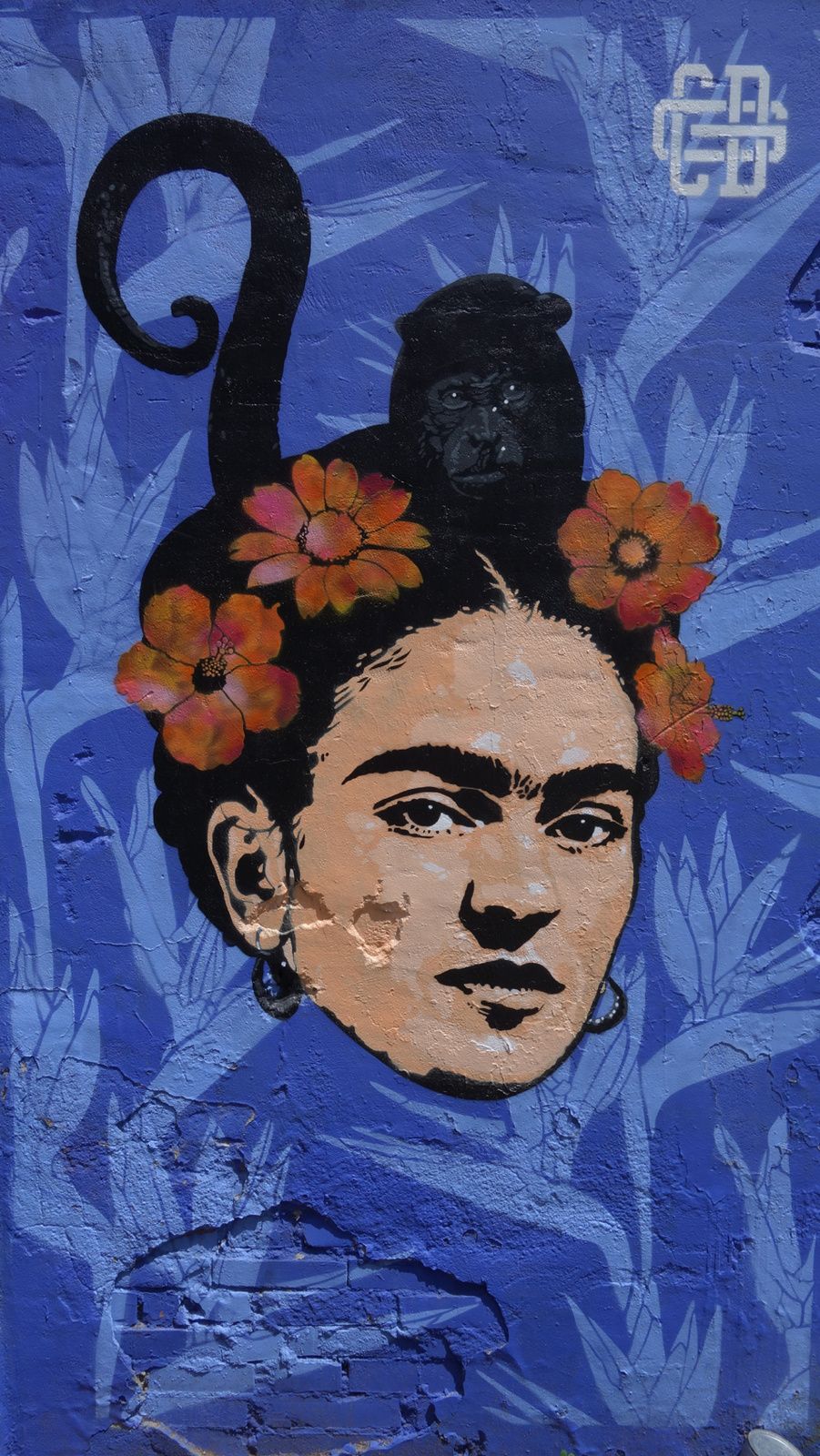 Street Art : Graffitis & Fresques Murales 33000 Bordeaux