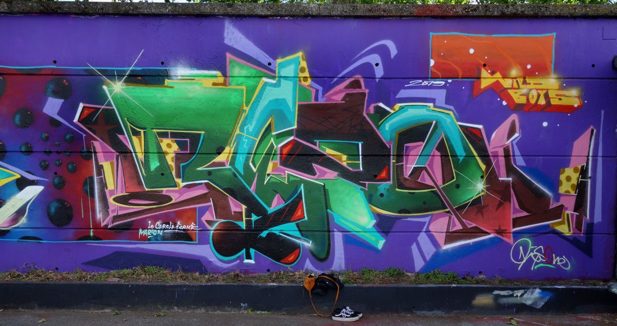 Street Art : Graffitis & Fresques Murales 31446 Ramonville saint Agne