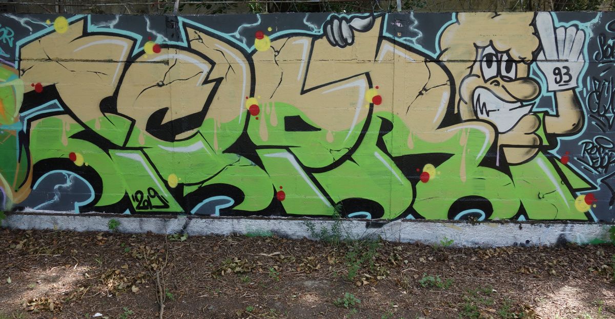 Street Art : Graffitis & Fresques Murales 93000 Bobigny