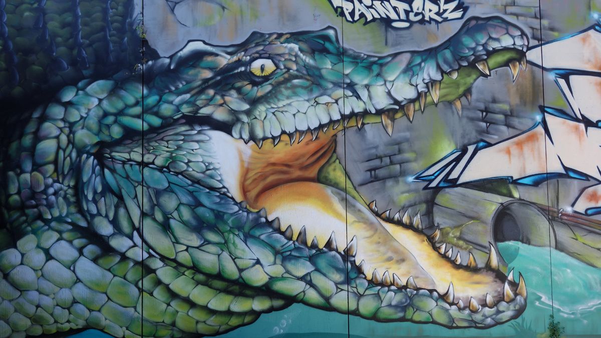 Street Art : Graffitis & Fresques Murales 34172 Montpellier