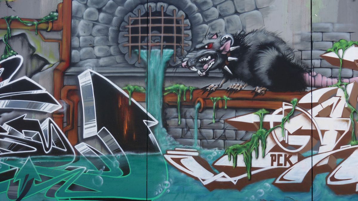 Street Art : Graffitis & Fresques Murales 34172 Montpellier