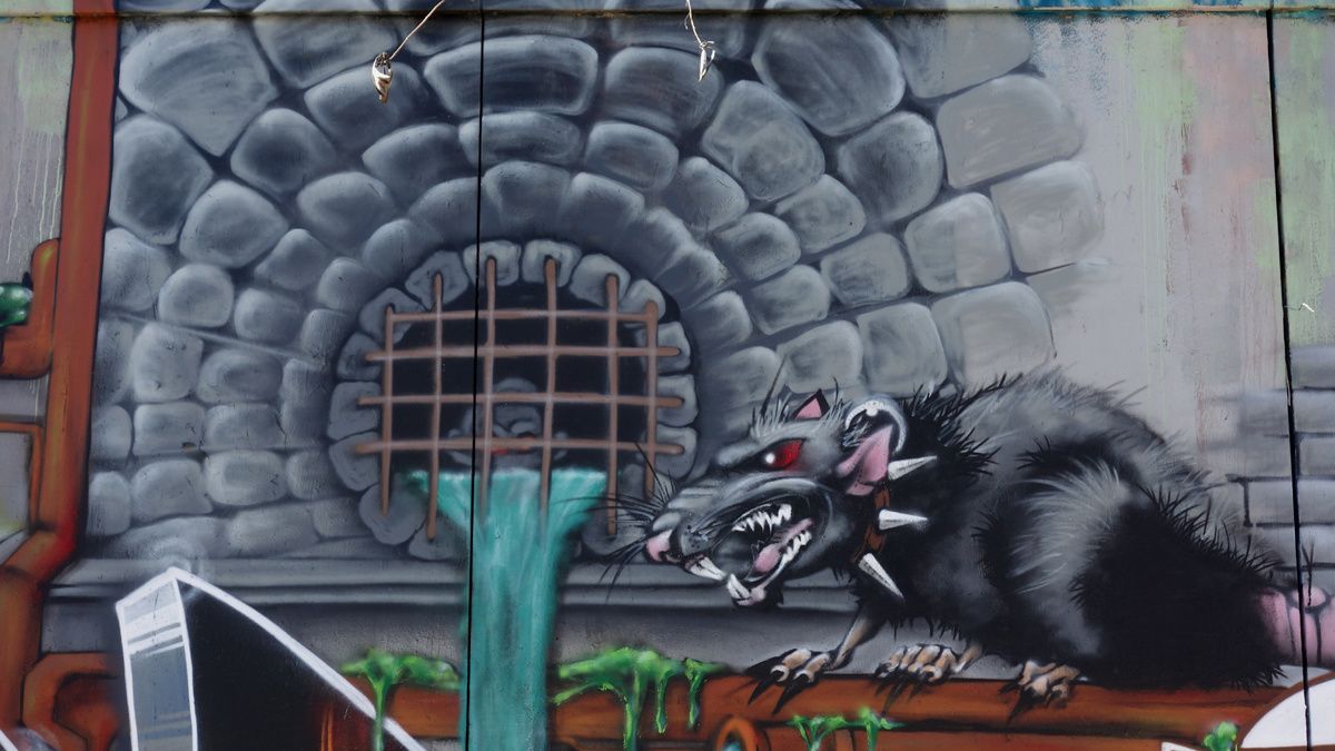 Street Art : Graffitis & Fresques Murales 34172 Montpellier